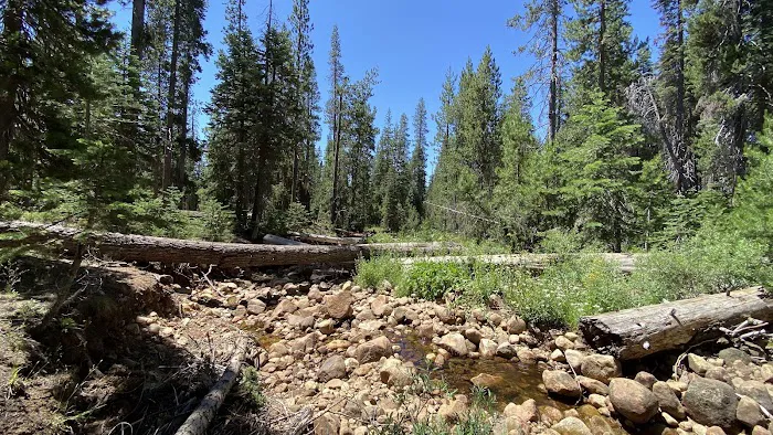 Bowler Group Campground Picture 1
