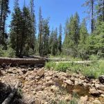 Bowler Group Campground