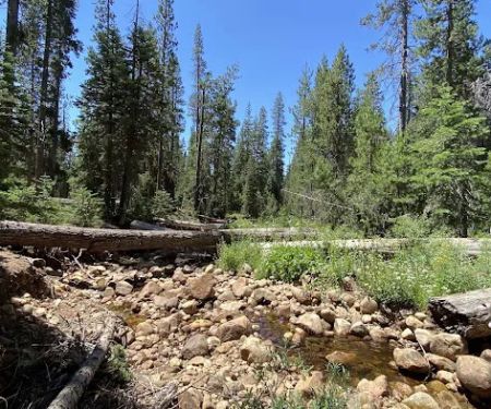 Bowler Group Campground