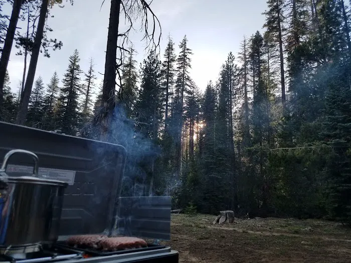 Bowler Group Campground Picture 3