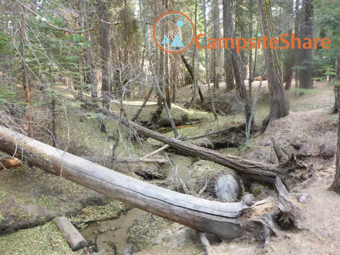 Little Jackass Campground Picture 8