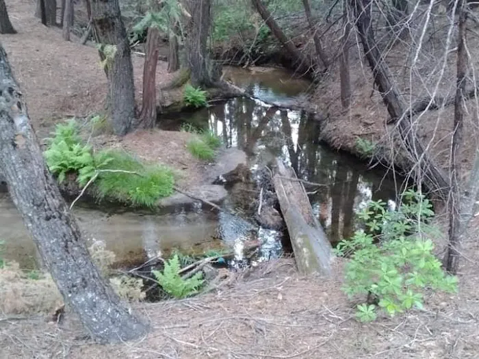 Little Jackass Campground Picture 4