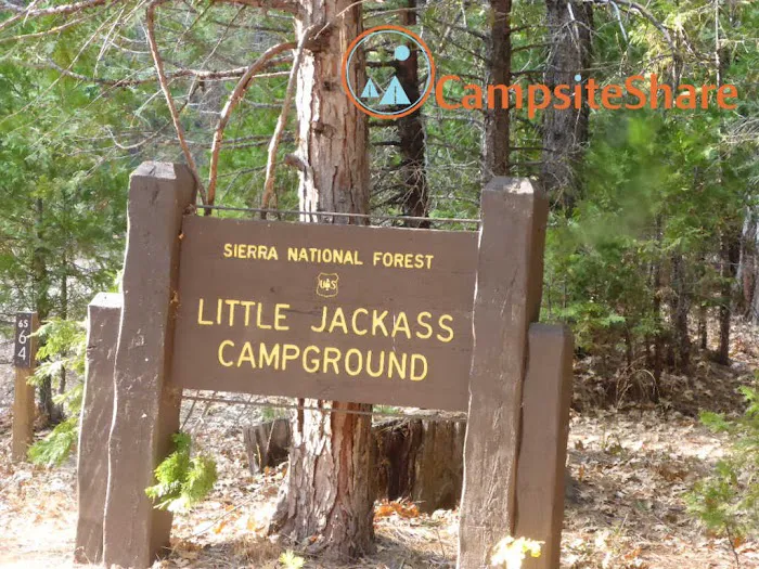 Little Jackass Campground Picture 6