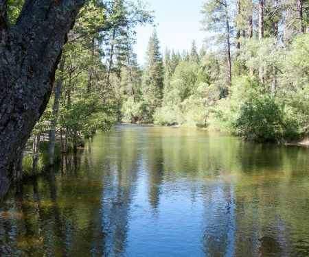 Mammoth Pool Campground
