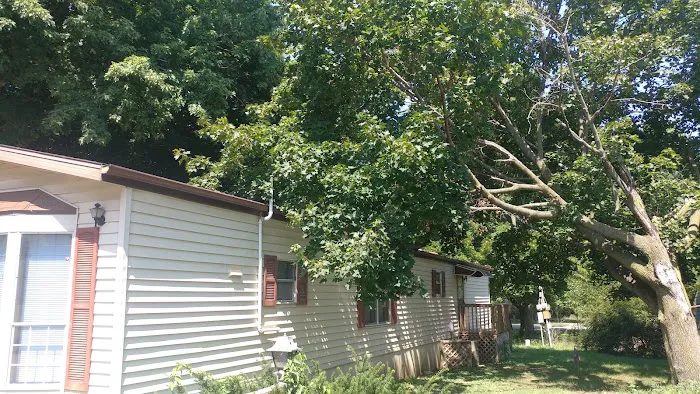 Lincoln Terrace Picture 9