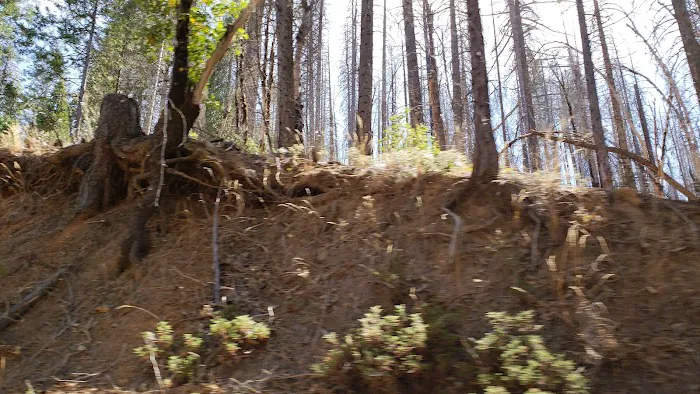 Rock Creek Campground Picture 5