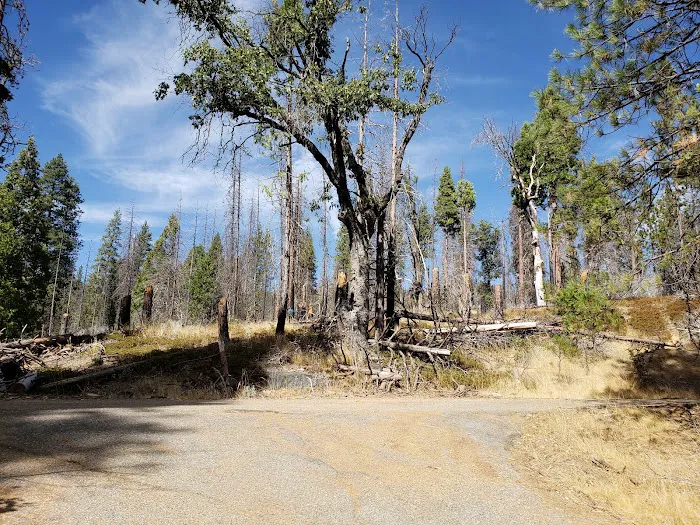 Rock Creek Campground Picture 2