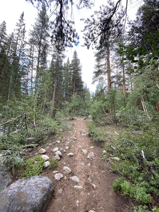 Rock Creek Campground Picture 4