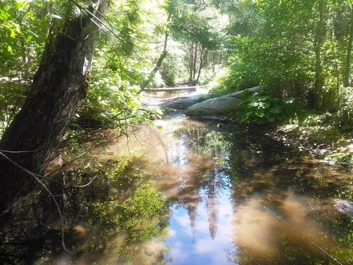 Rock Creek Campground Picture 6