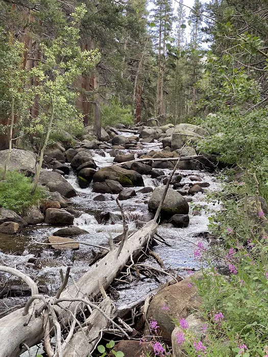 Rock Creek Campground Picture 7