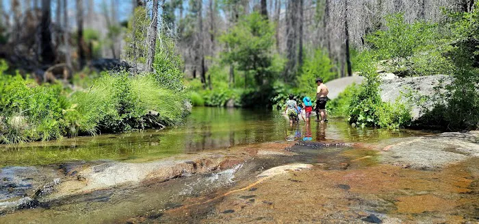 Rock Creek Campground Picture 10