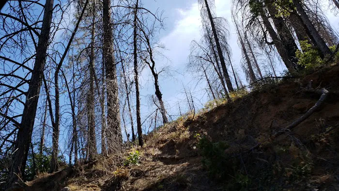 Rock Creek Campground Picture 9