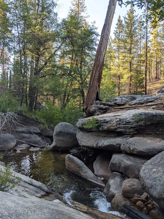 West Kaiser Campground Picture 9