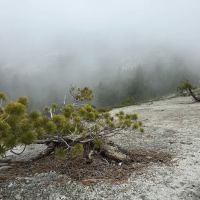 Clover Meadow Campground ico