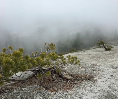 Clover Meadow Campground