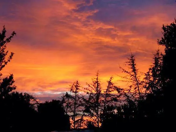 Thousand Trails San Benito Picture 4