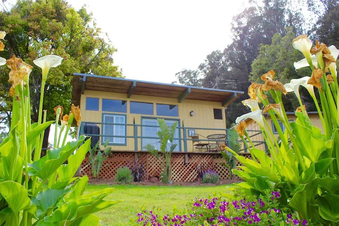Salinas / Monterey KOA Picture 3
