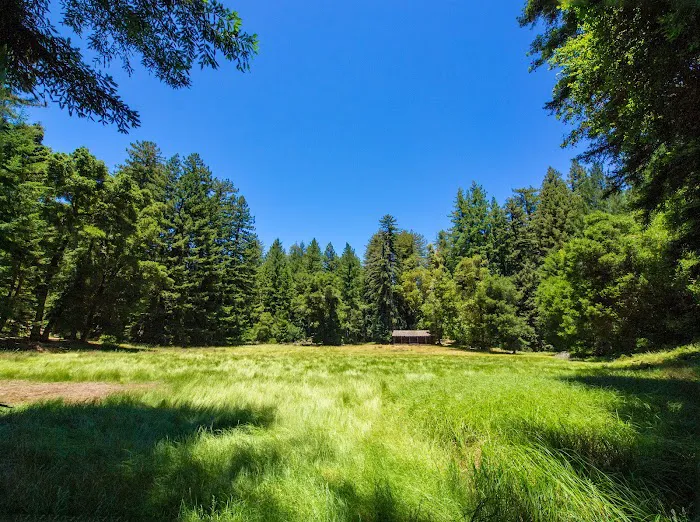 Sky Meadow Group Camp Picture 1