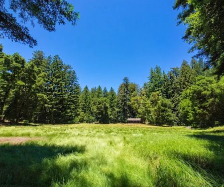 Sky Meadow Group Camp