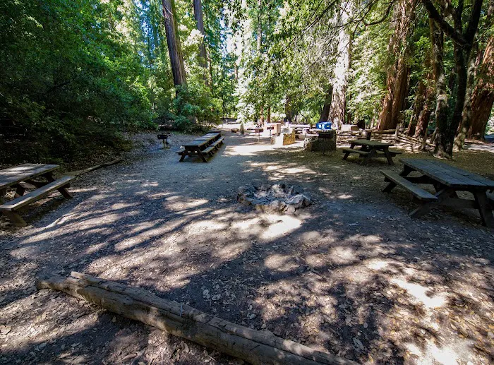 Sequoia Group Camp Picture 1