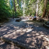 Sequoia Group Camp ico