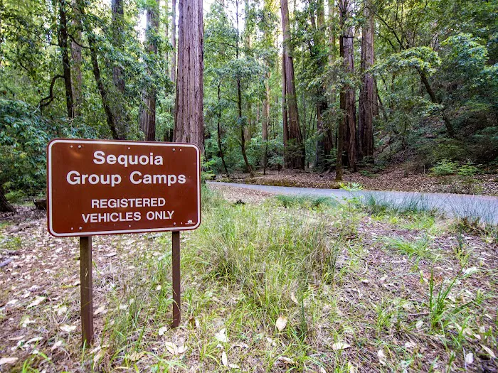 Sequoia Group Camp Picture 6
