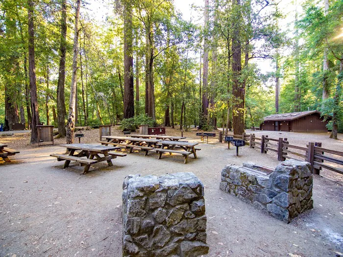 Sequoia Group Camp Picture 10