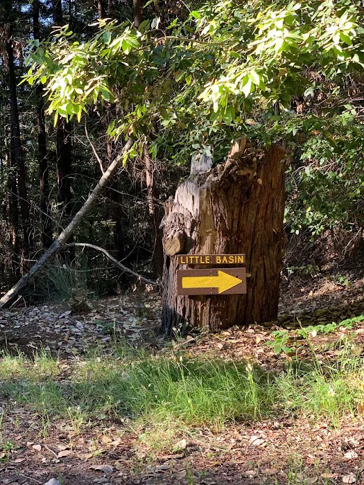Little Basin Cabins & Campground Picture 6