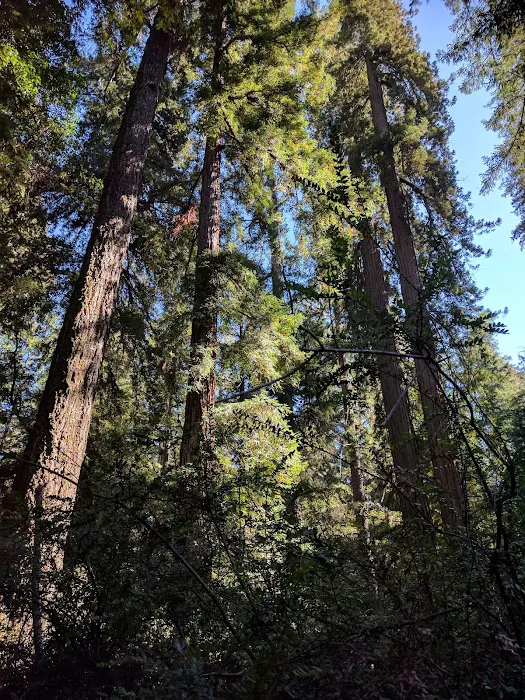 Jay Trail Camp Picture 2