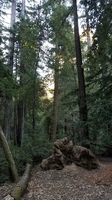 Jay Trail Camp Picture 4