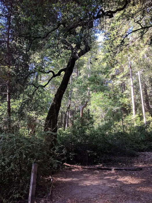 Jay Trail Camp Picture 5