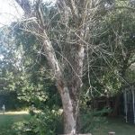 North Oaks Manufactured Home Community