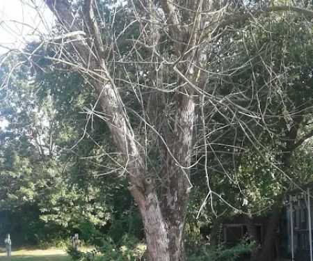 North Oaks Manufactured Home Community