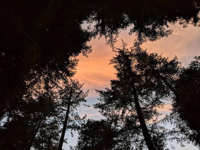 Blooms Creek Campground Picture 4