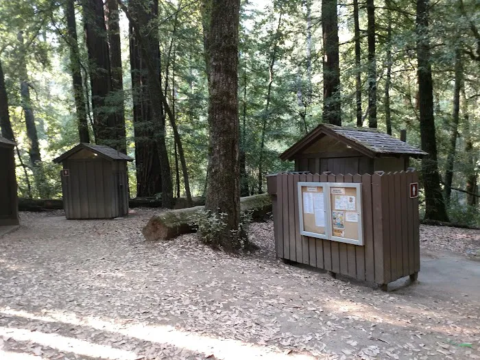 Blooms Creek Campground Picture 1