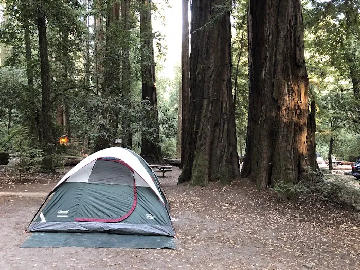 Blooms Creek Campground Picture 3