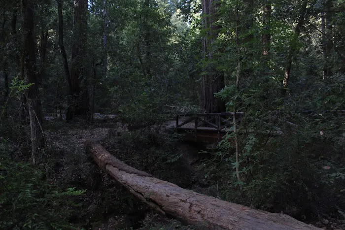 Blooms Creek Campground Picture 7