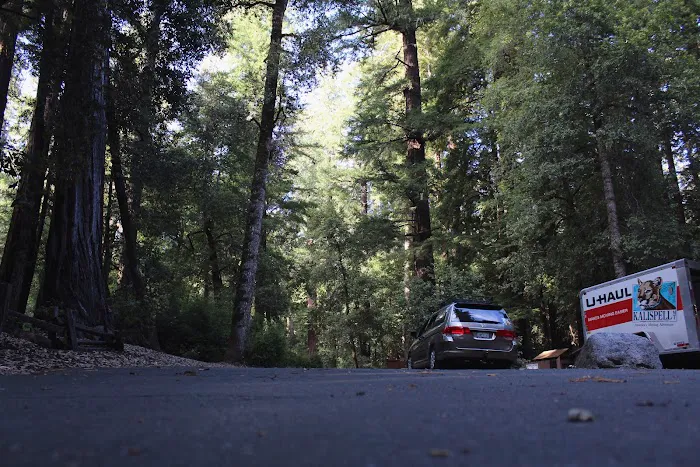 Blooms Creek Campground Picture 6