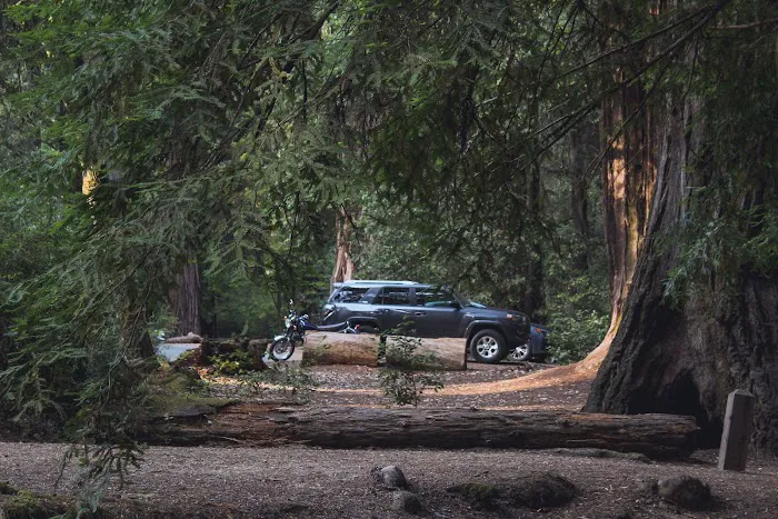 Blooms Creek Campground Picture 5