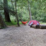 Twin Redwoods Trail Camp