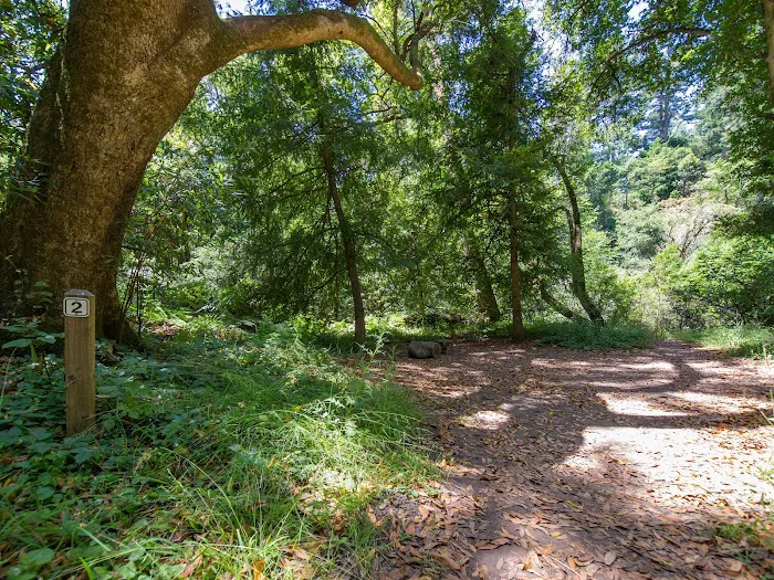 Twin Redwoods Trail Camp Picture 2