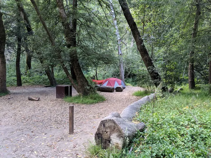 Twin Redwoods Trail Camp Picture 8