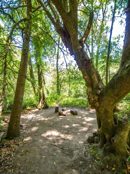 Twin Redwoods Trail Camp Picture 7