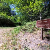 Alder Trail Camp ico