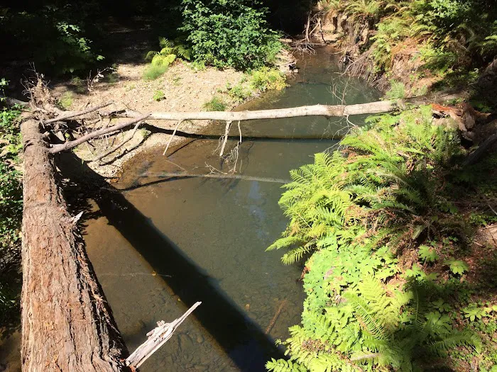 Alder Trail Camp Picture 6