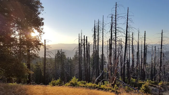 Grasshopper Peak Trail Camp Picture 2