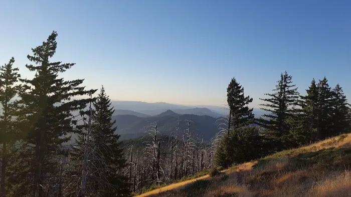 Grasshopper Peak Trail Camp Picture 1