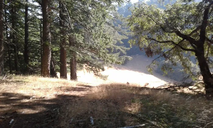 Grasshopper Peak Trail Camp Picture 5