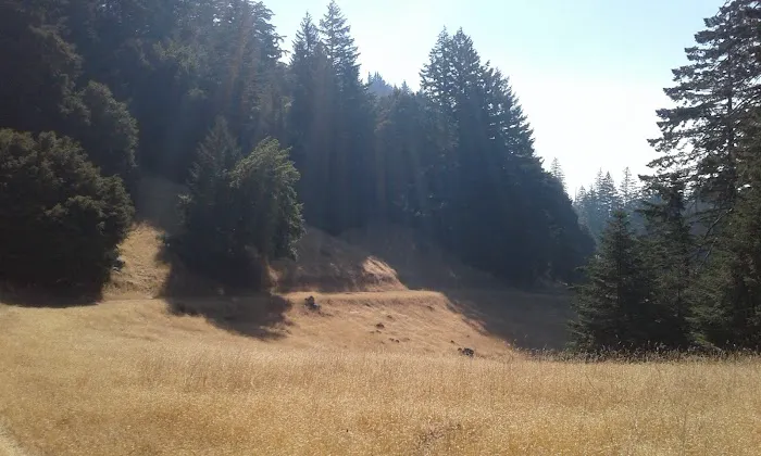 Grasshopper Peak Trail Camp Picture 3