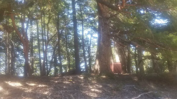 Grasshopper Peak Trail Camp Picture 4